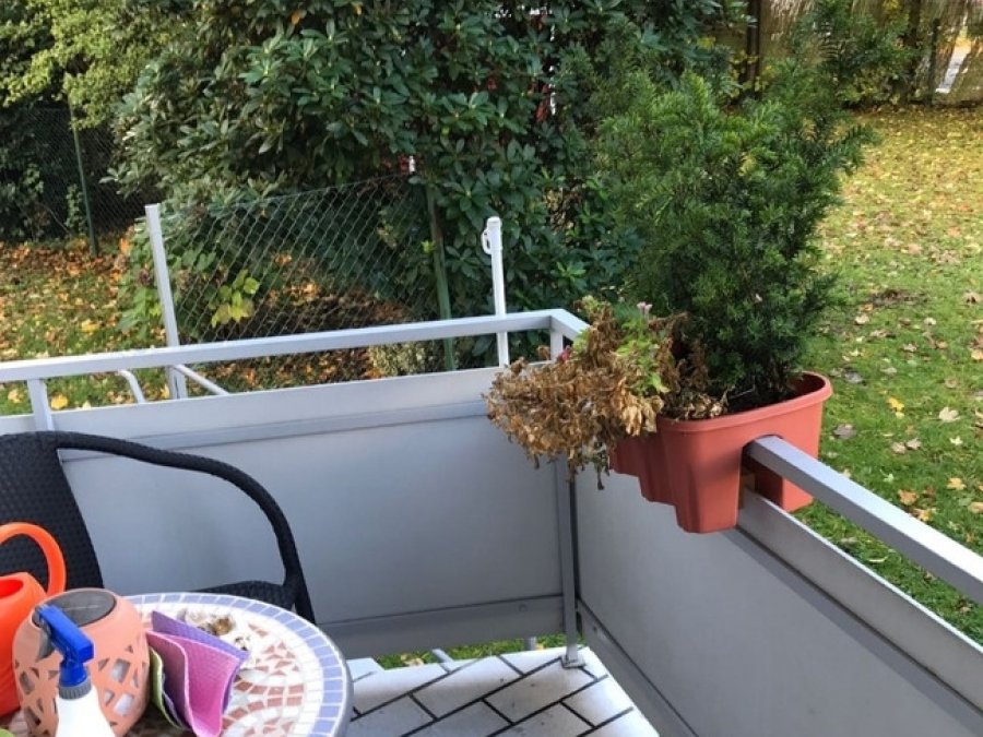 Kleine Erdgeschosswohnung in Solingen-Ohligs

Nähe S-Bahn Düsseldorf/Vogelsang