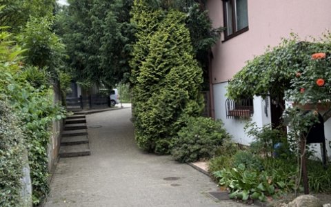 e33eda00-bb8e-4c7b-a752-2e87c288fd68.jpg
