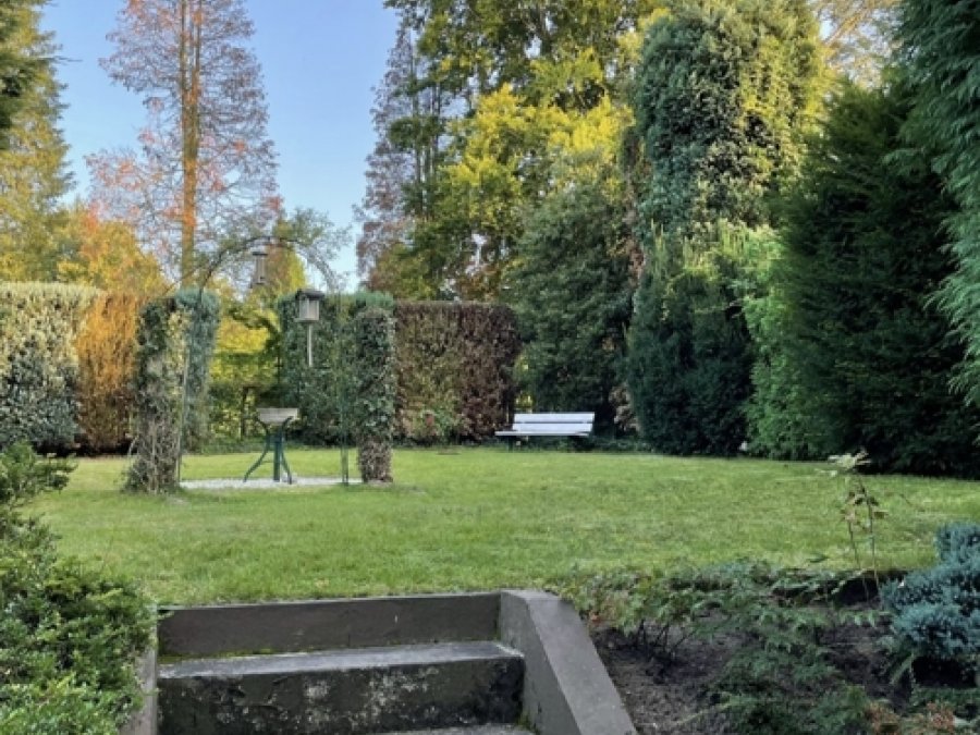 Gartenblick aus der Wohnung